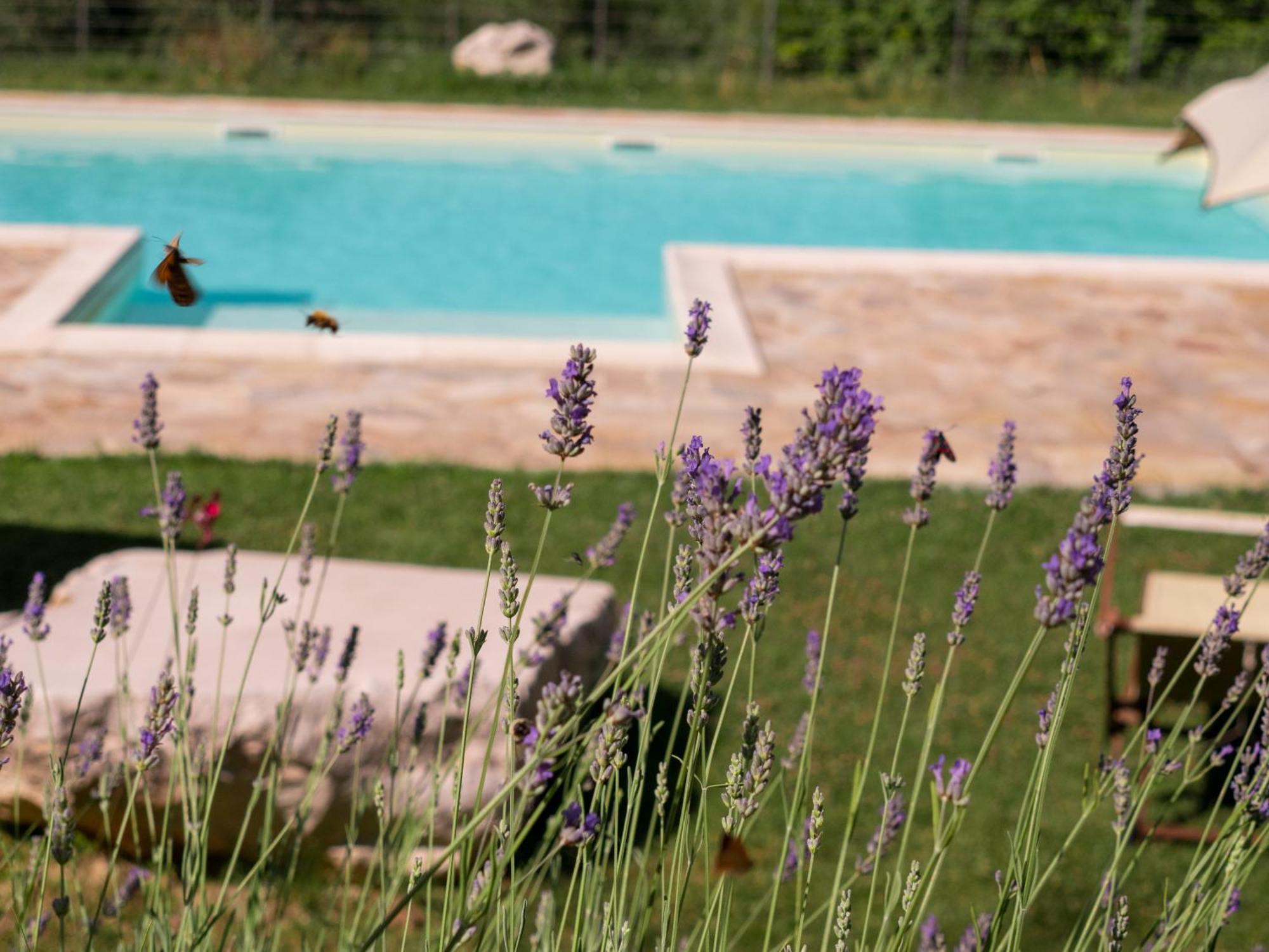 Lacelletta Country House Urbino Exterior foto